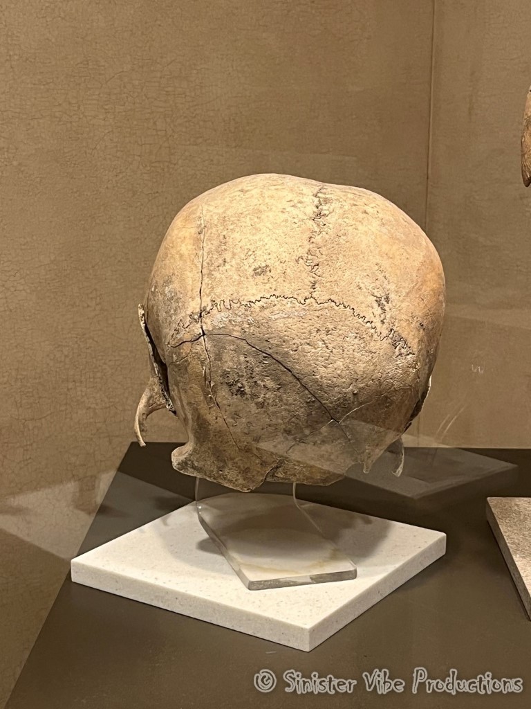 mexico.antropologia museum.13439