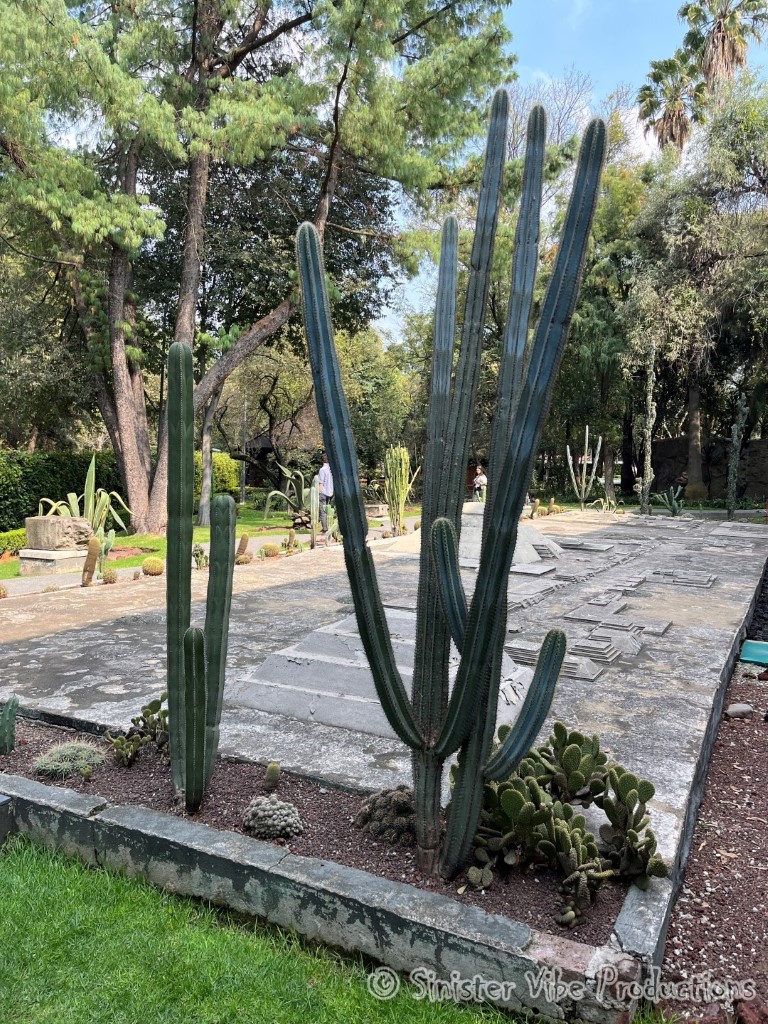 mexico.antropologia museum.3467