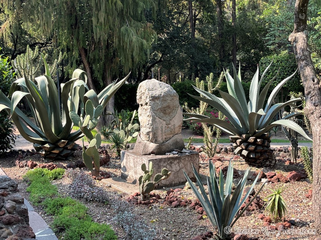 mexico.antropologia museum.5287