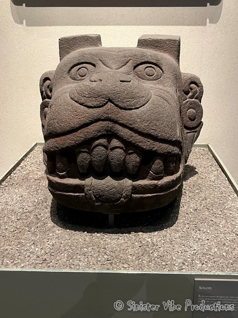 mexico.antropologia museum.80118