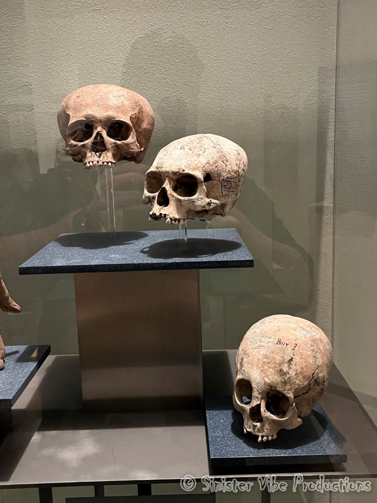 mexico.antropologia museum.92131