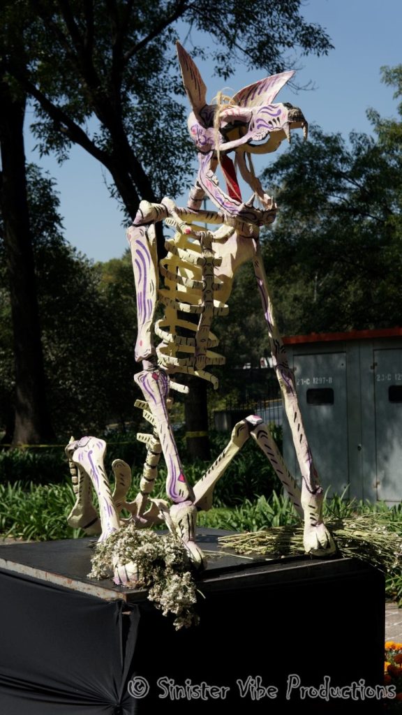mexico.dia de la muertos.215129