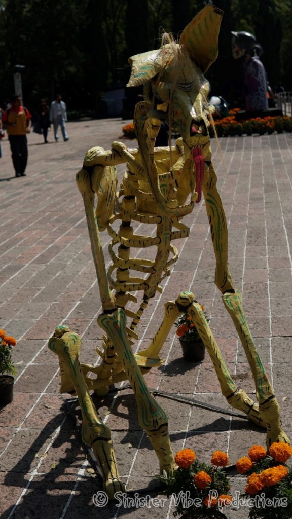 mexico.dia de la muertos.224139
