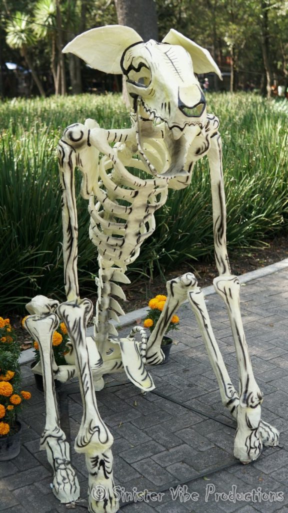 mexico.dia de la muertos.226141