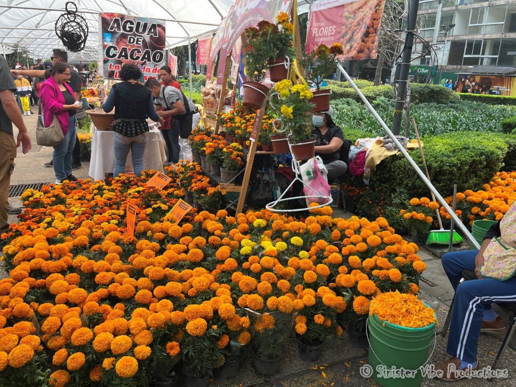 mexico.dia de la muertos.270190