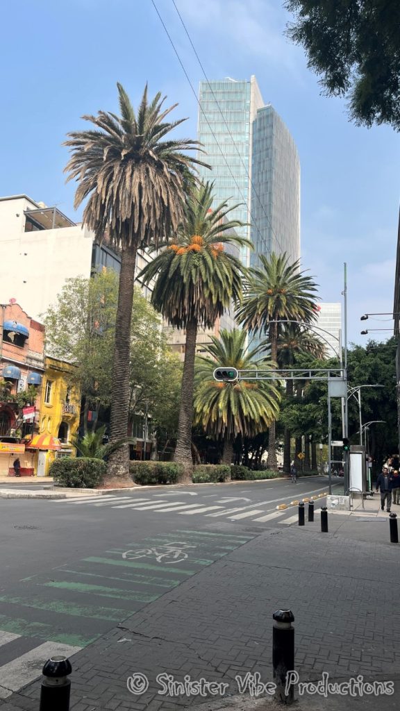 mexico.dia de la muertos.462403