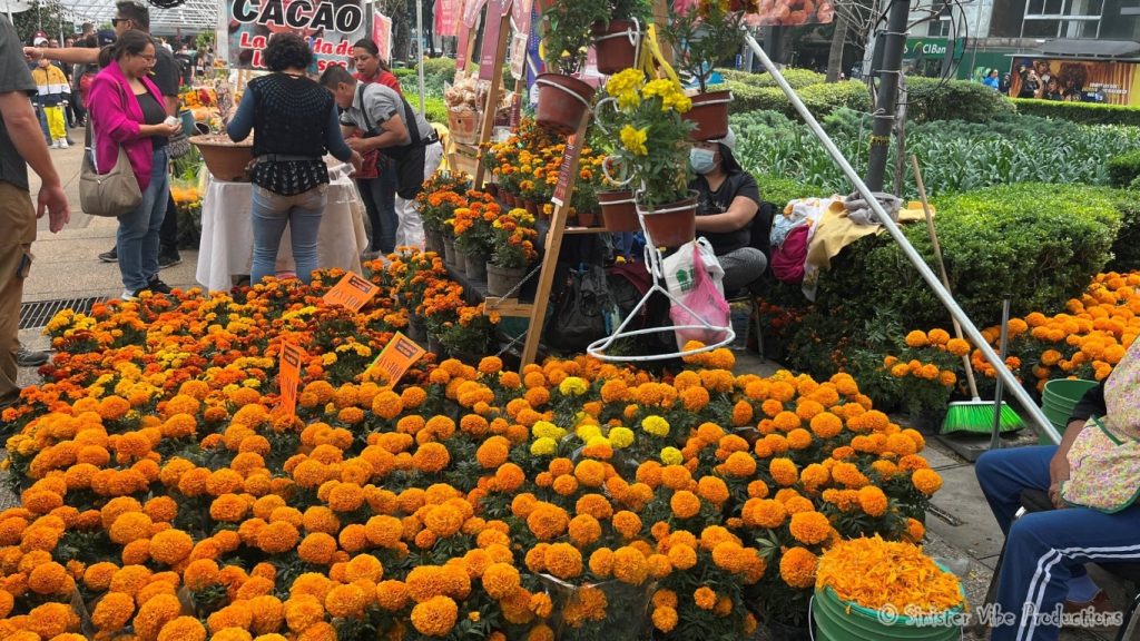 mexico.dia de la muertos.487430