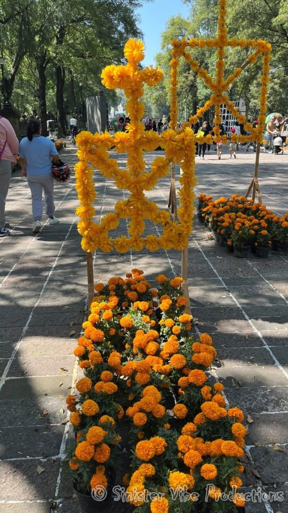 mexico.dia de la muertos.602559