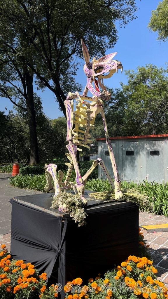 mexico.dia de la muertos.607564