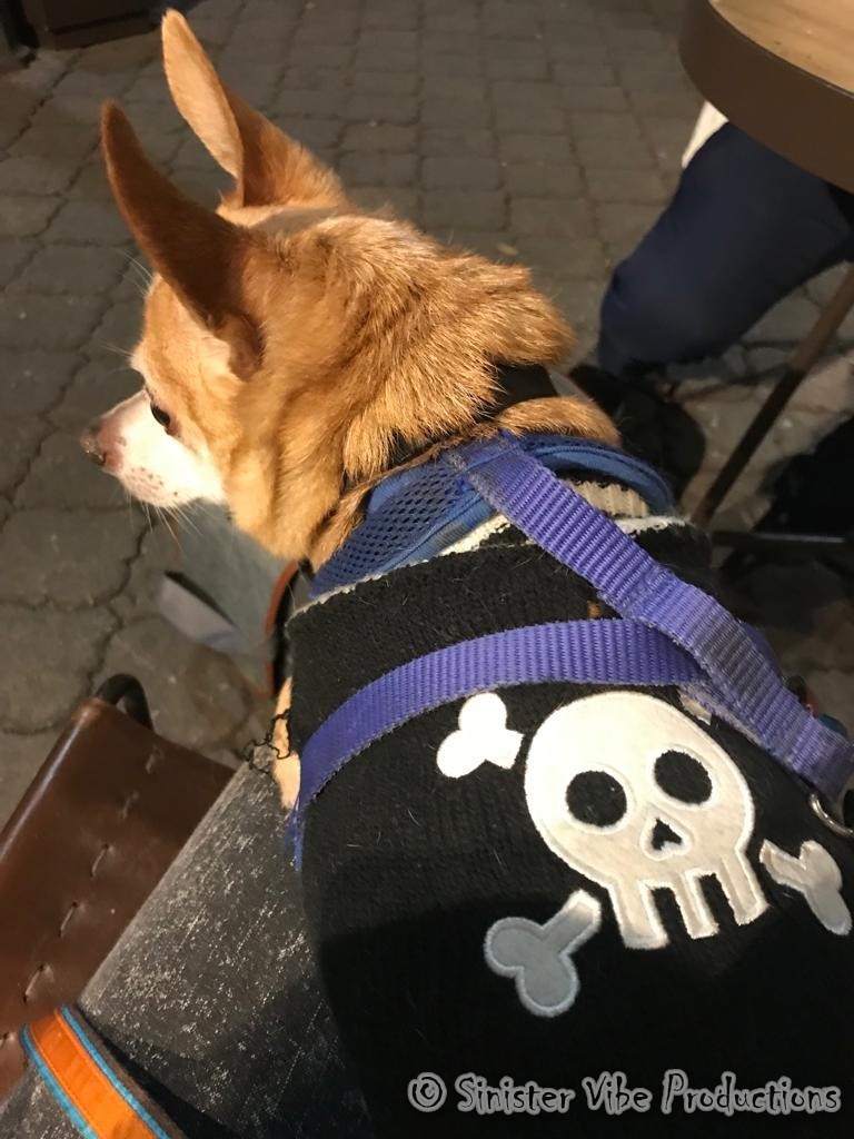 mexico.dia de la muertos.657619