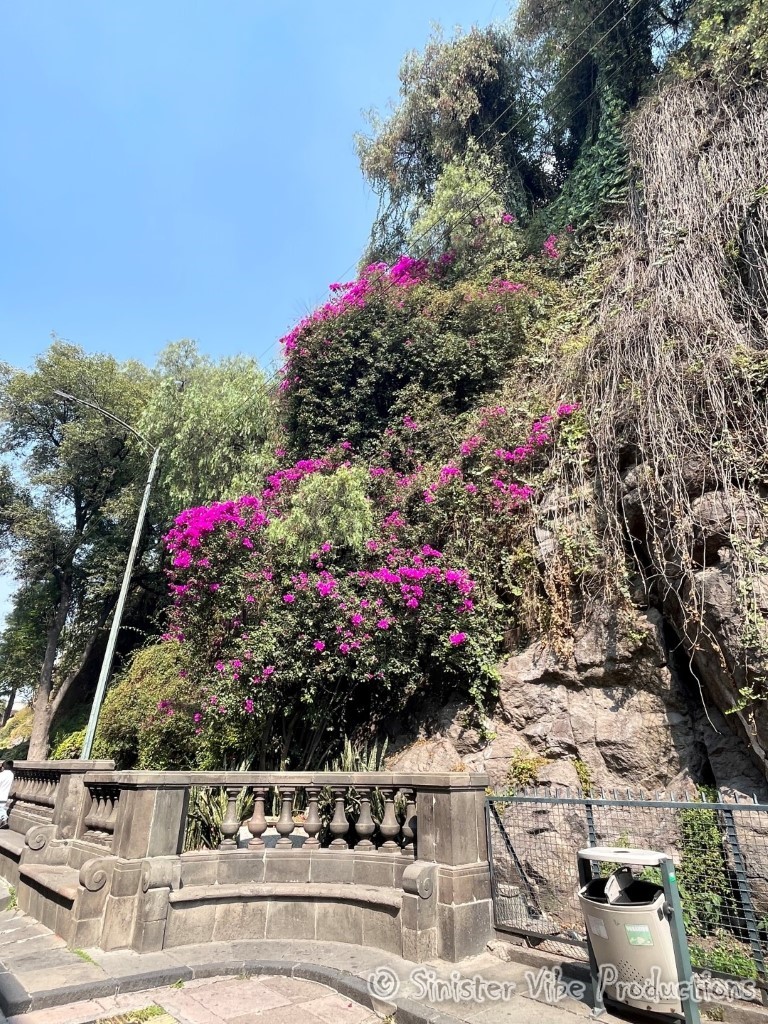 mexico.guadalupe shrine.3326