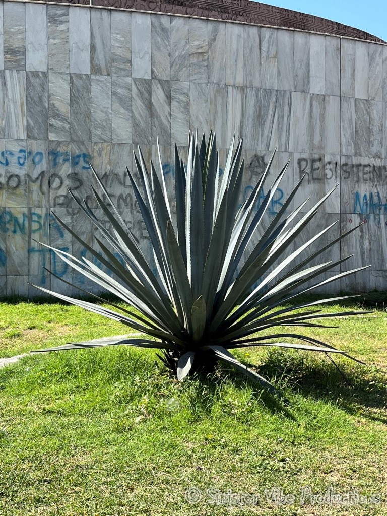 mexico.mexico city.454394