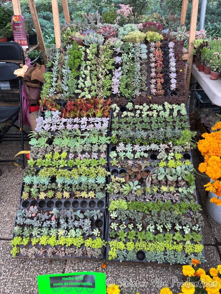 mexico.mexico city.93471