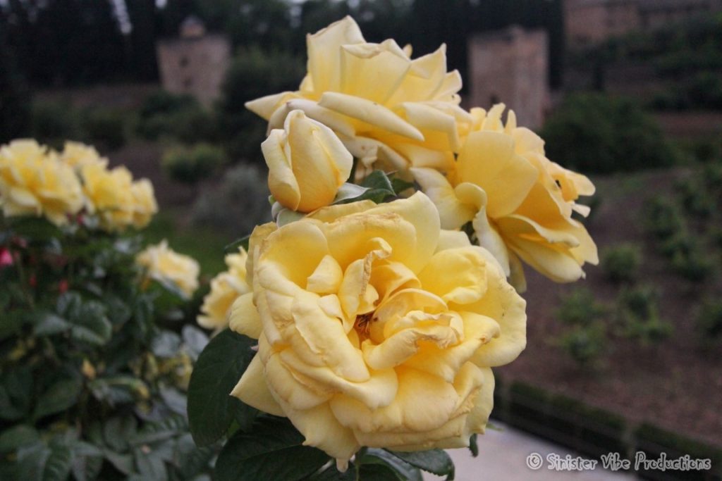 spain.alalambra.granada.114